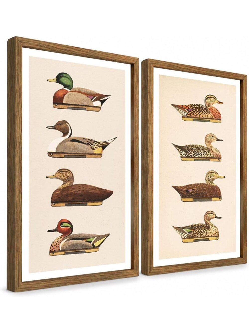 Vintage Duck Wall Art Set of 2 Framed Waterfowl Bird Prints for Home Decor